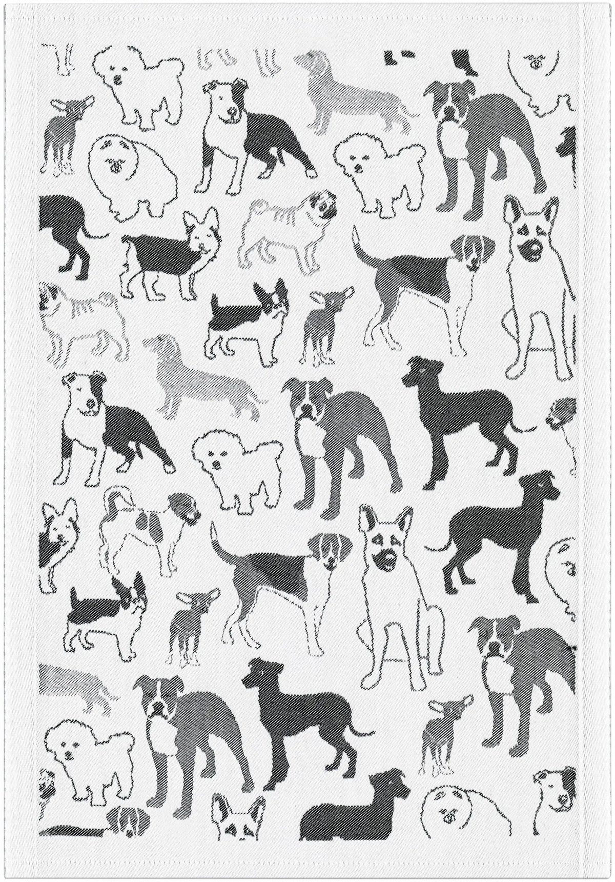 7767170901_HUSSE_35X50_2