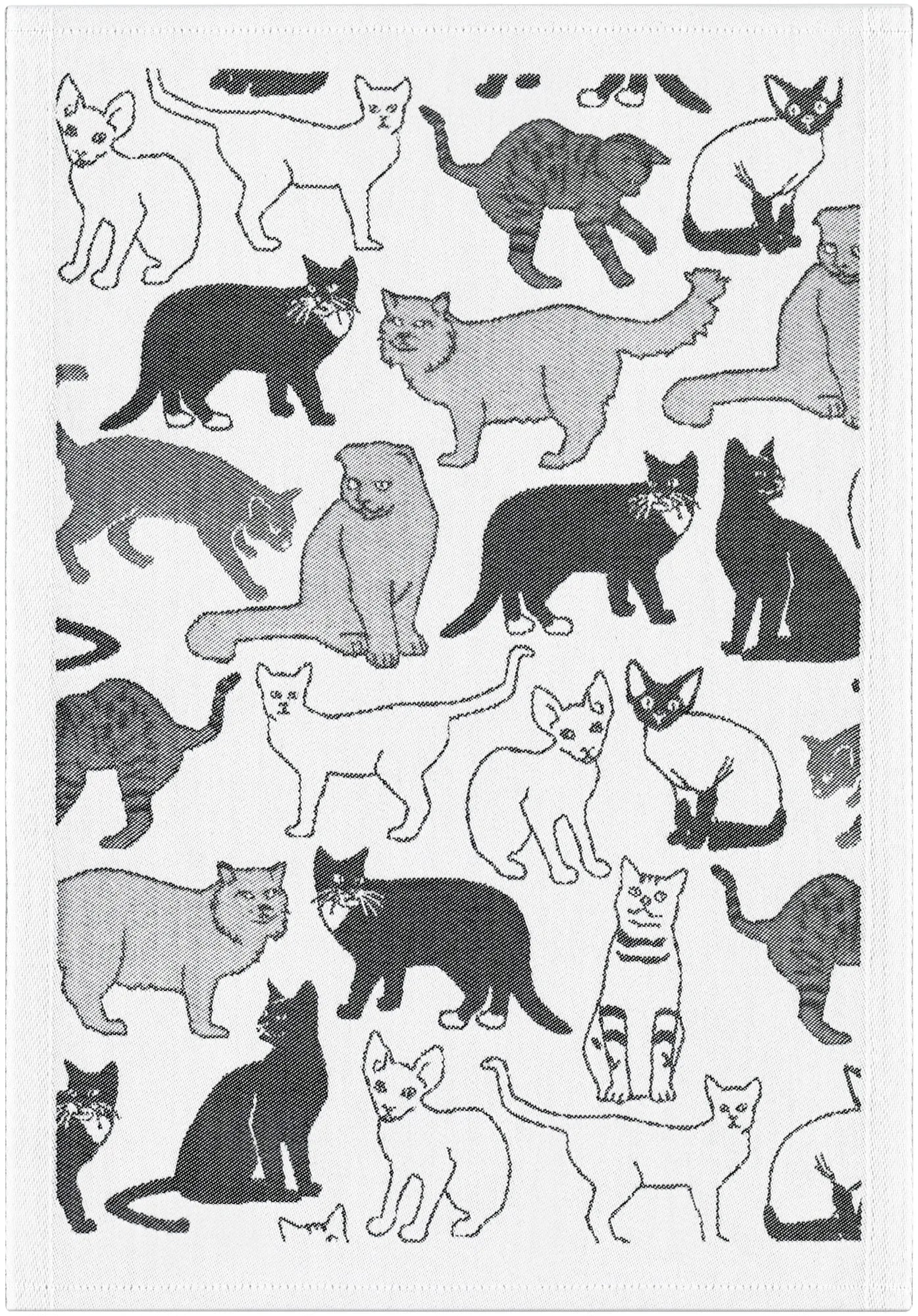 7767180901_MATTE_35X50_2