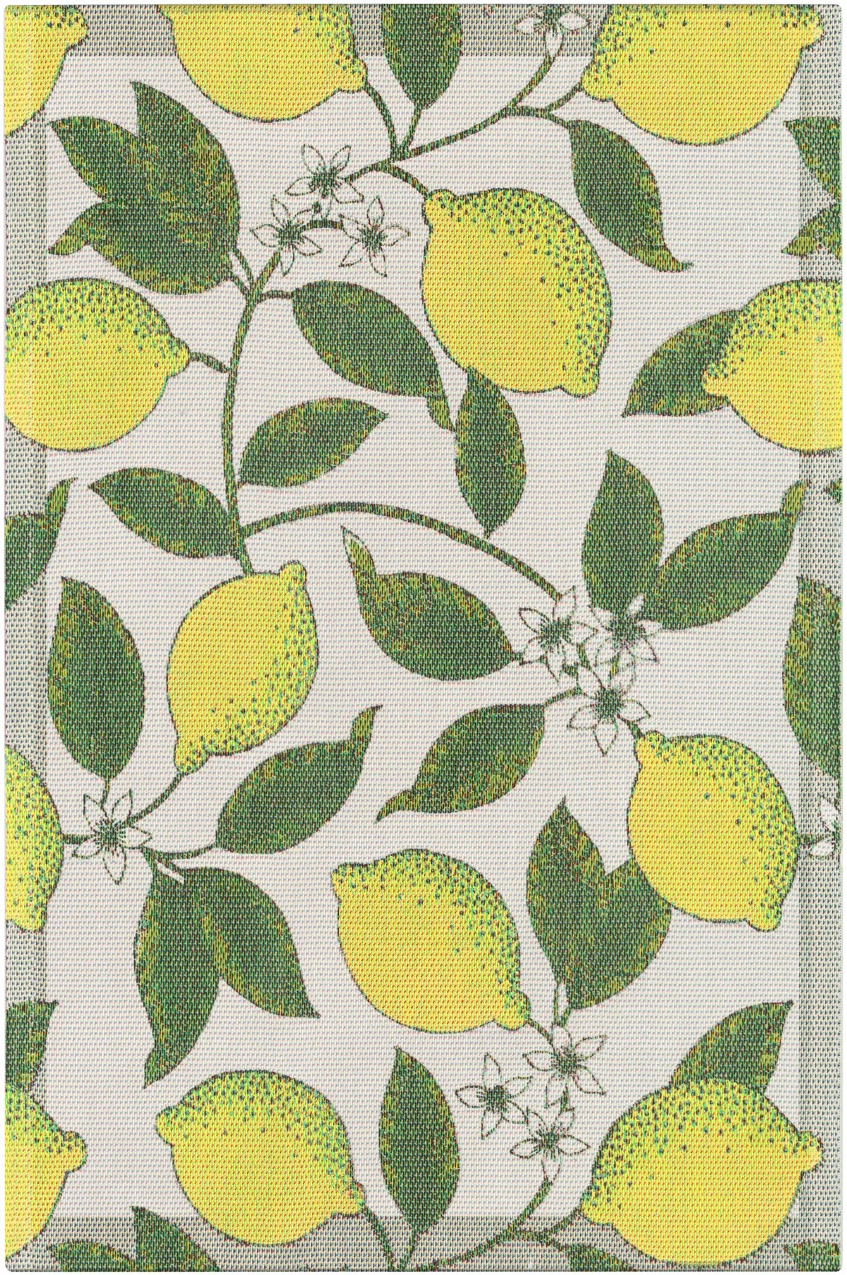 A0215_CITRONER_40X60_2