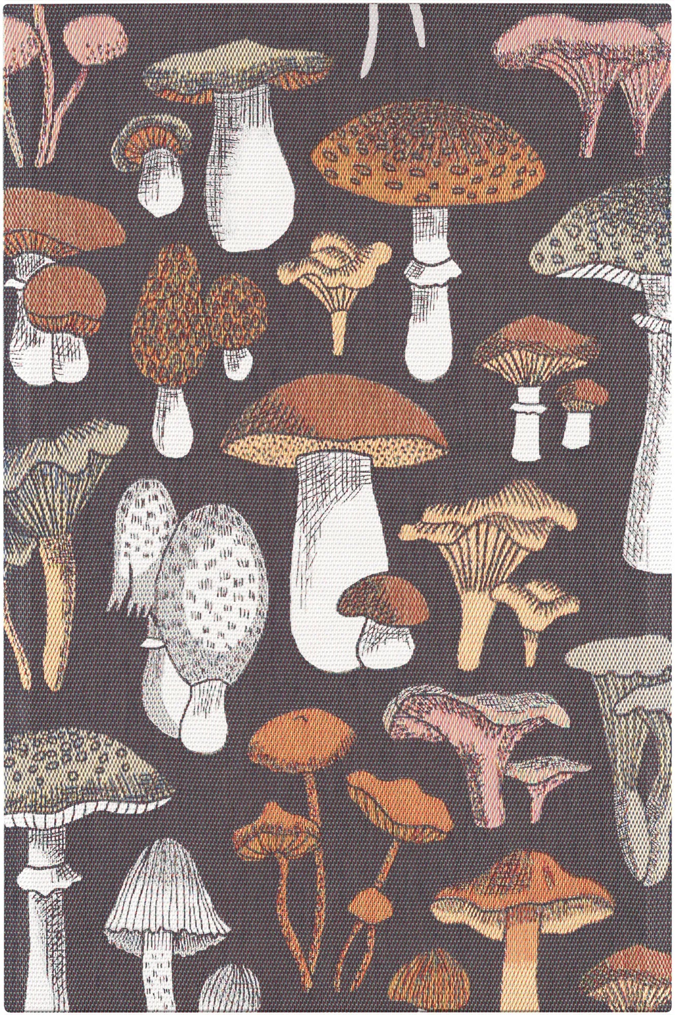 A0475_SVAMPRIK_40X60_2