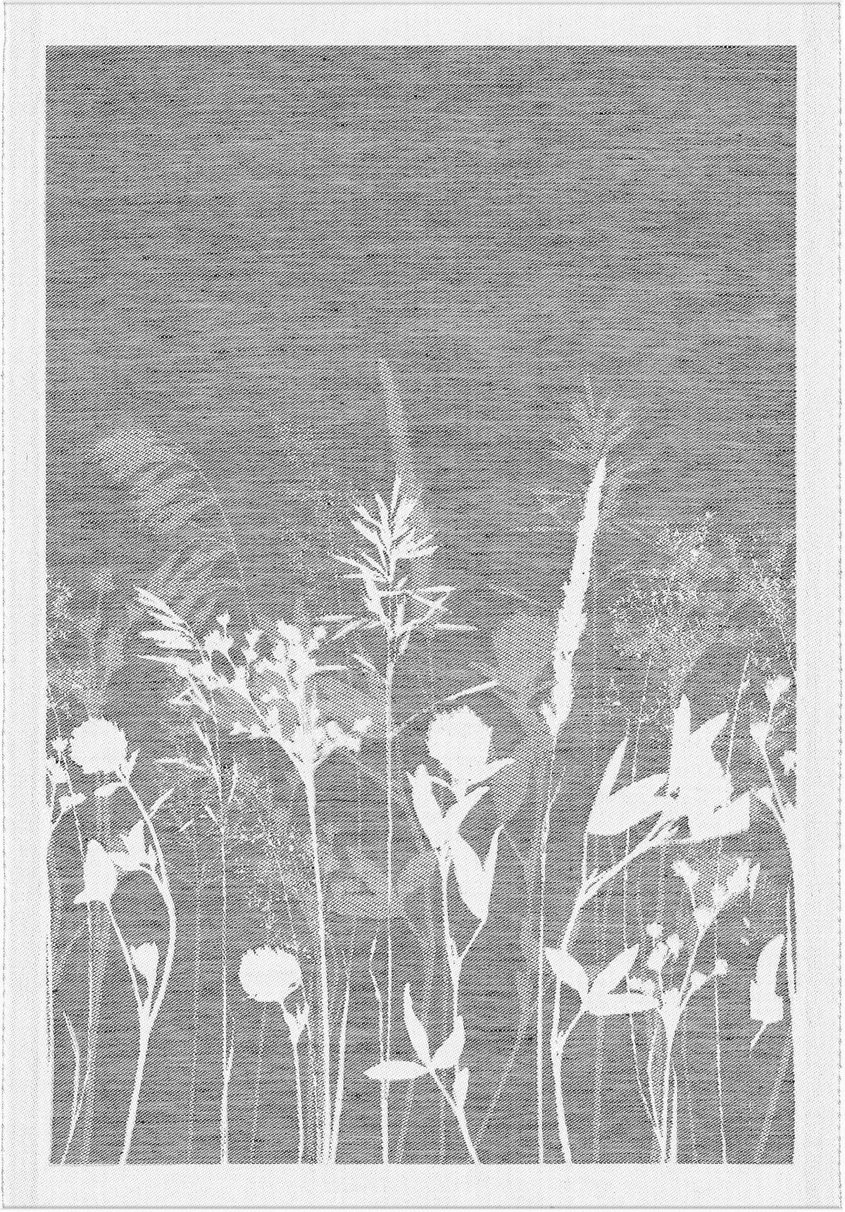 A0833_AIRY_35X50_2