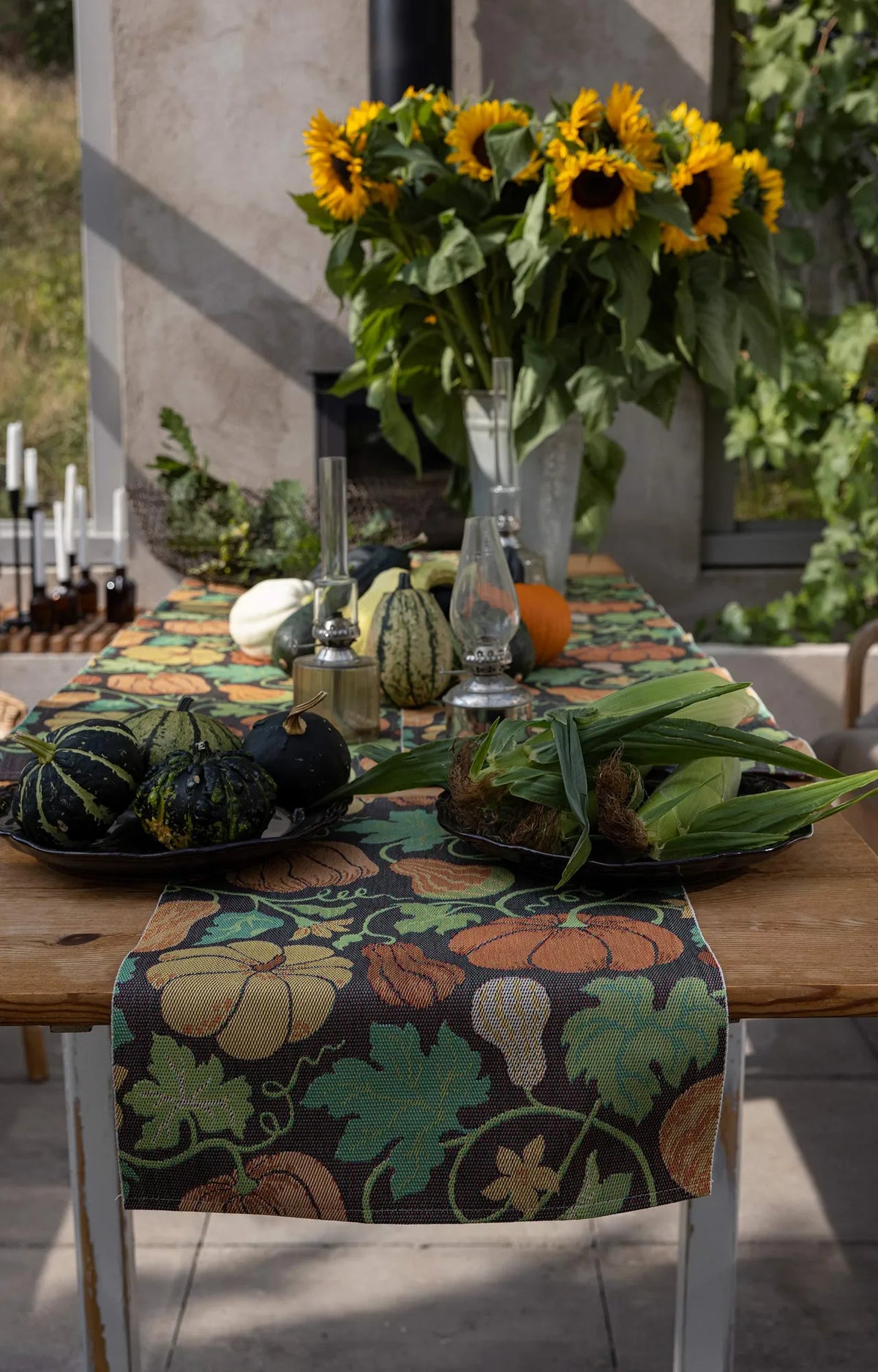 A1674_PLENTY-OF-PUMPKINS_35x120_4