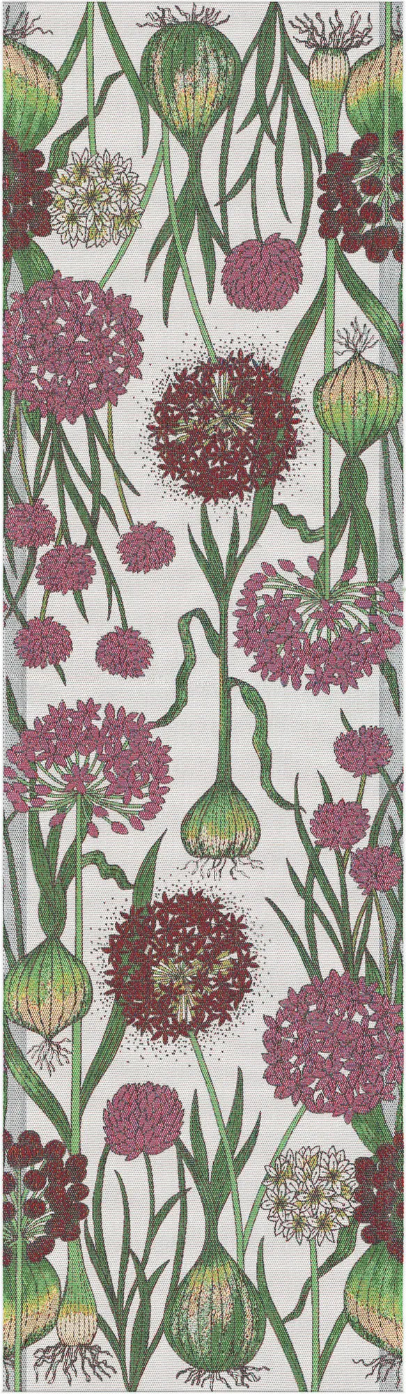 A1829_ALLIUM_35x120_2