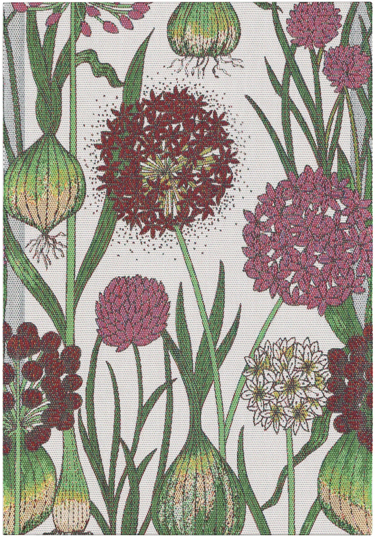 A1830_ALLIUM_35x50_2