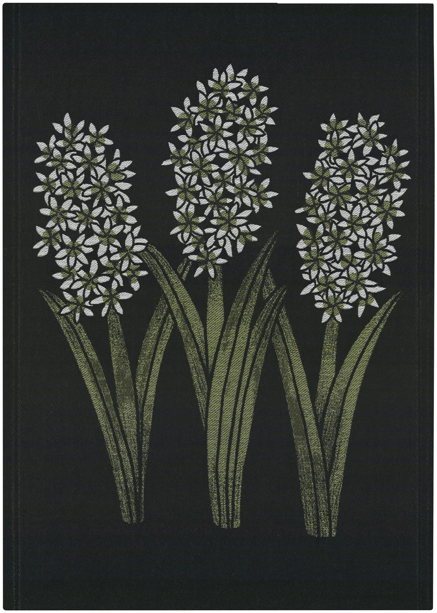 A1834_HYACINT-ORIENTALIS_48x70_2