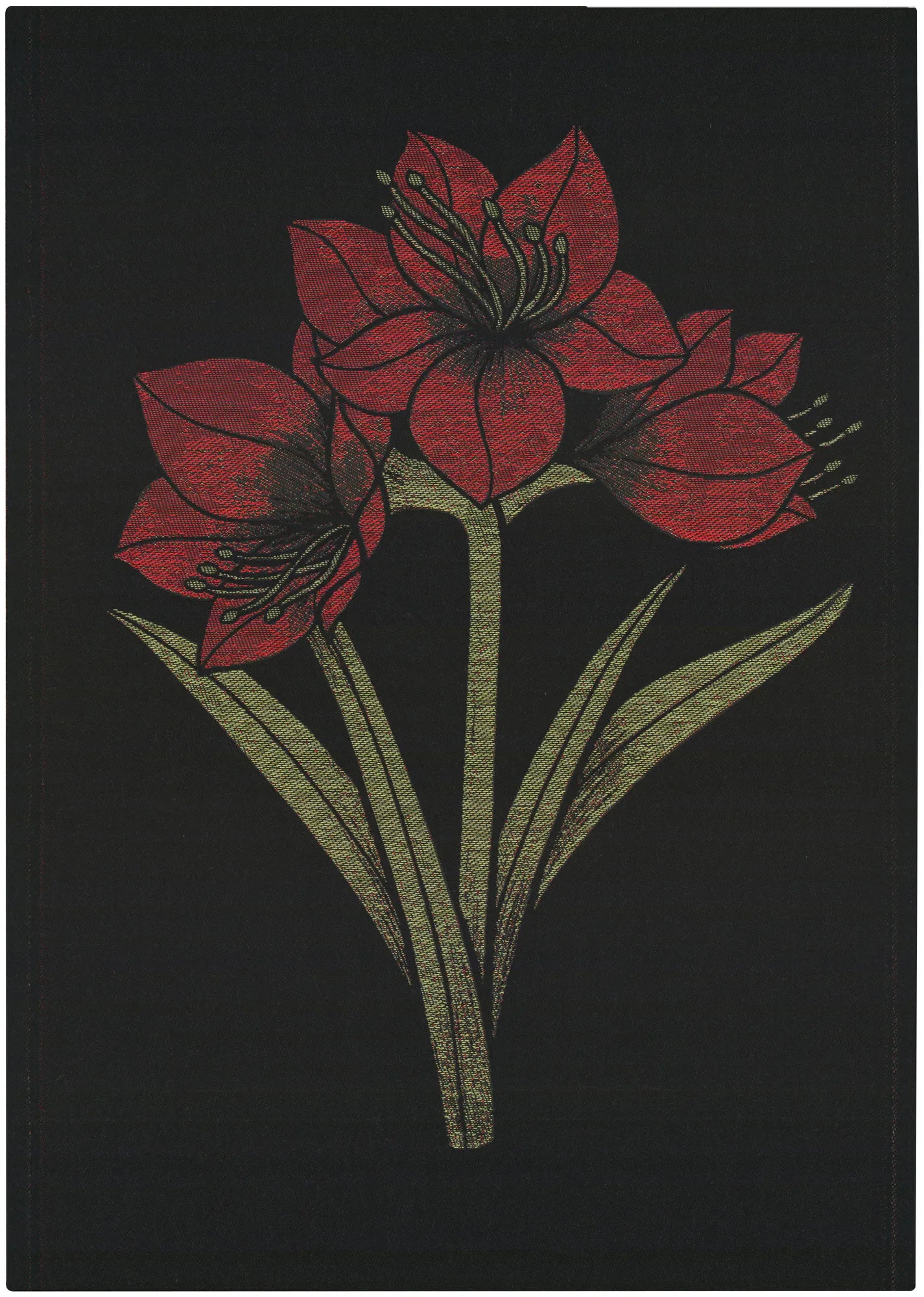 A1850_KAPAMARYLLIS_48x70_2