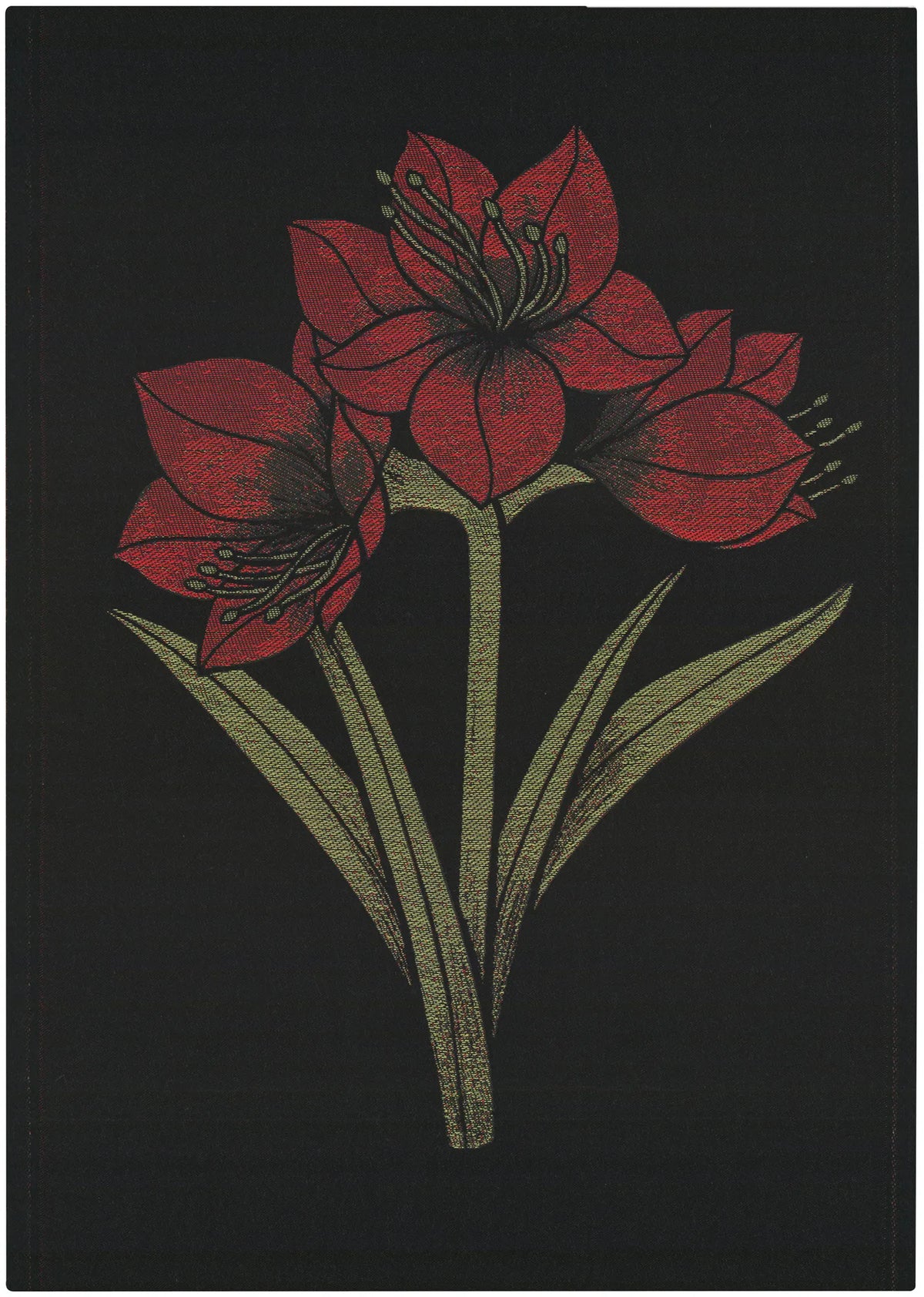 A1851_KAPAMARYLLIS_35x50_2