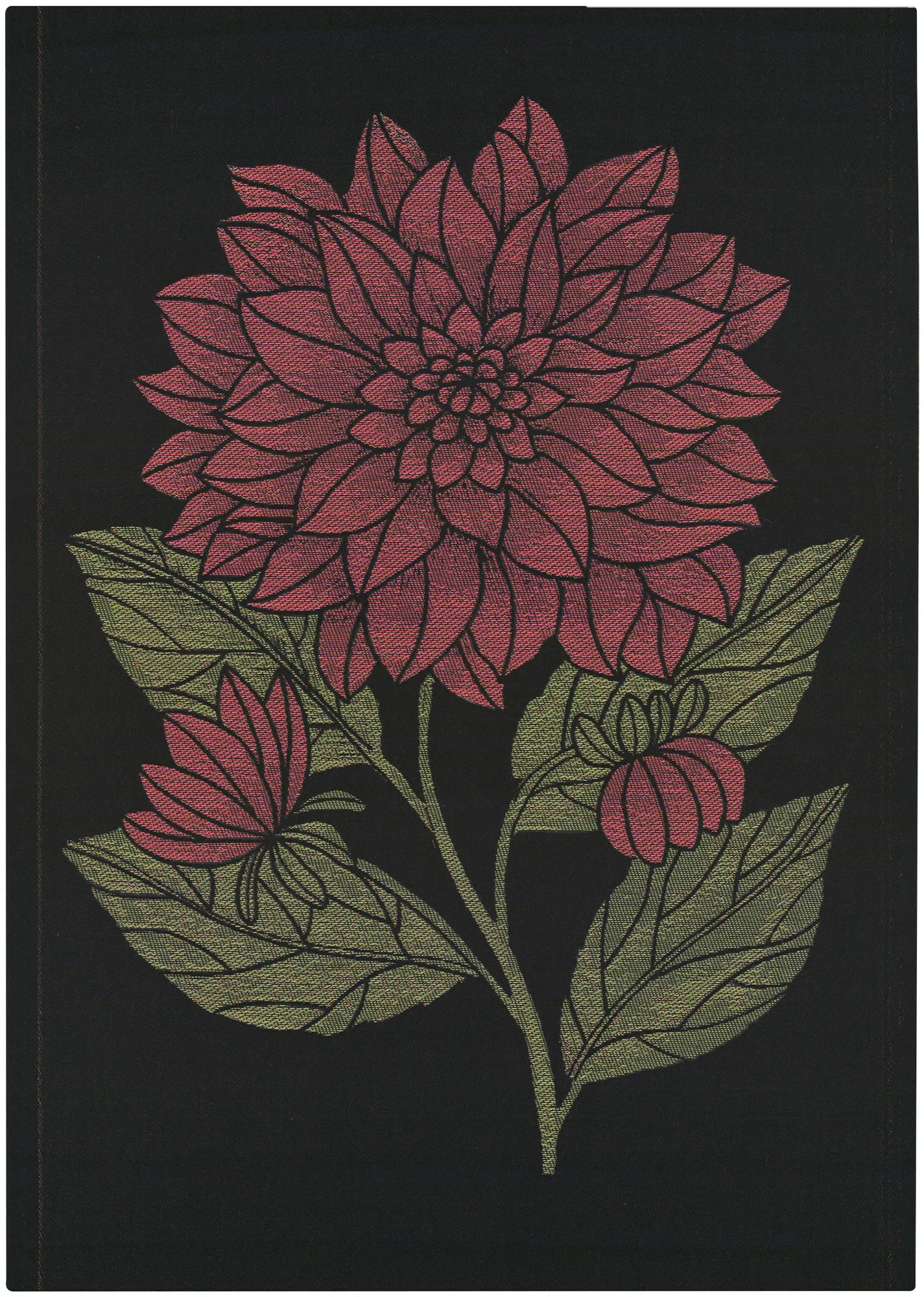 A1891_DAHLIA-DEKORATIV_48x70_2
