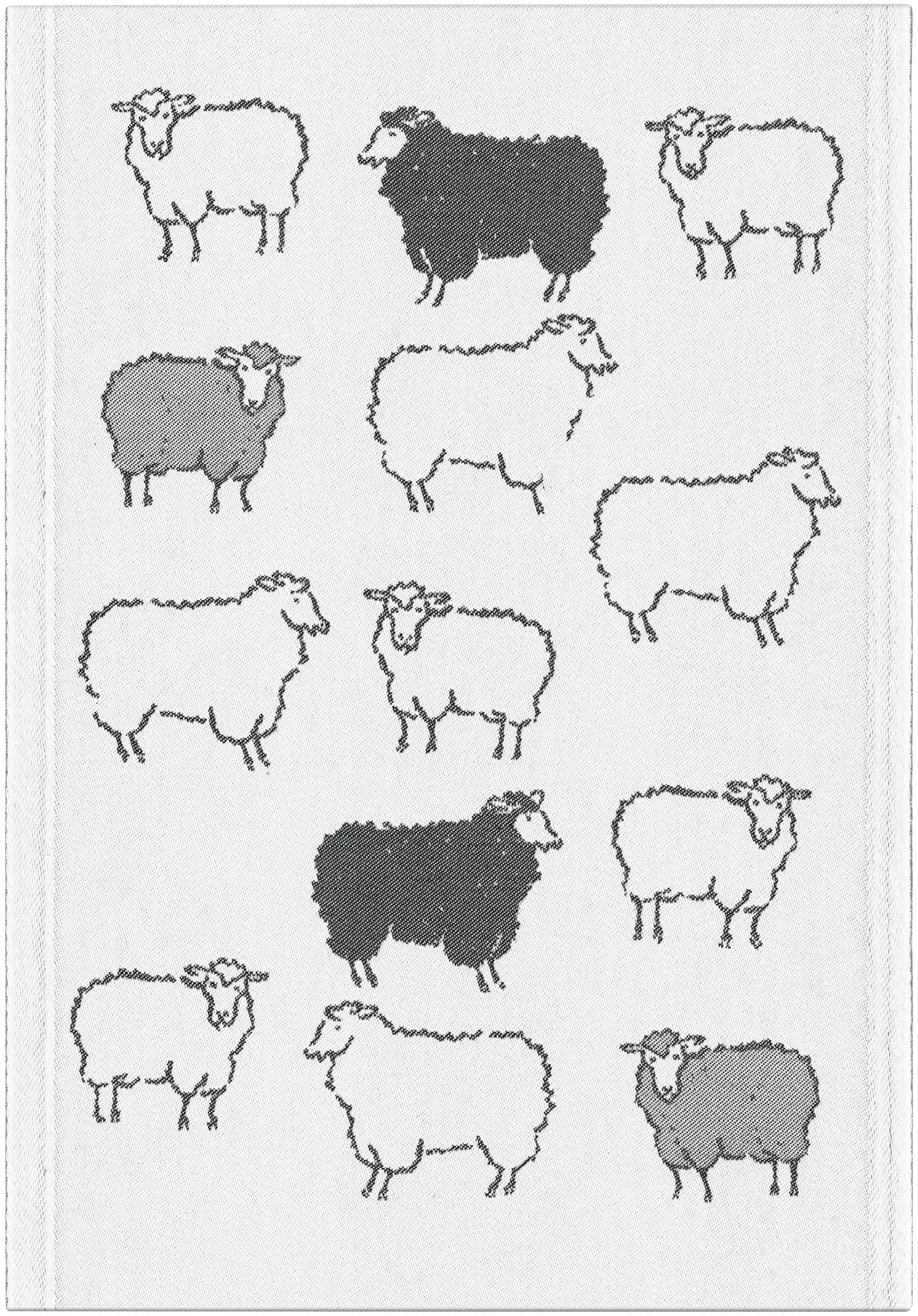 A1986_SHEEPFOLD_35x50_2