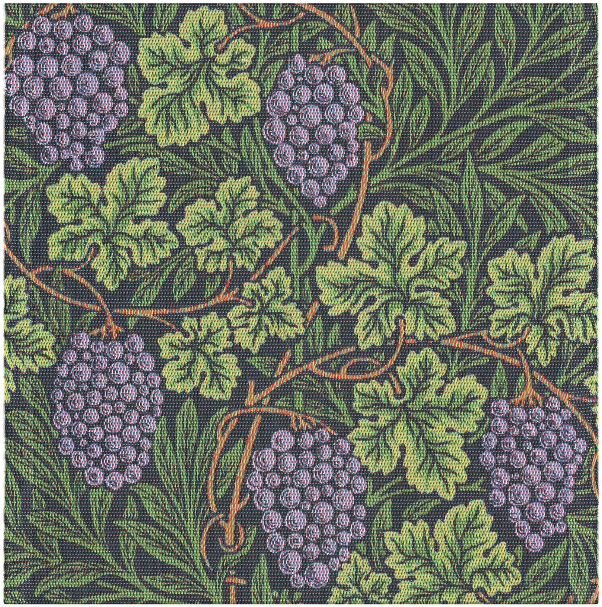 A2089_VINE_35x35_2