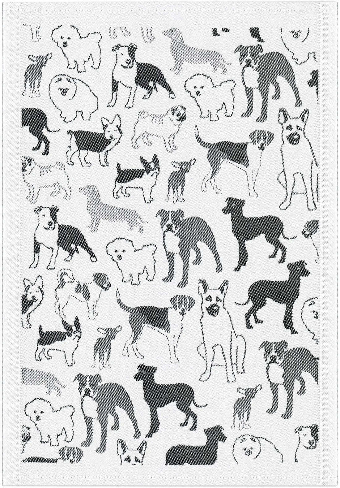 7767170901_HUSSE_35X50_2