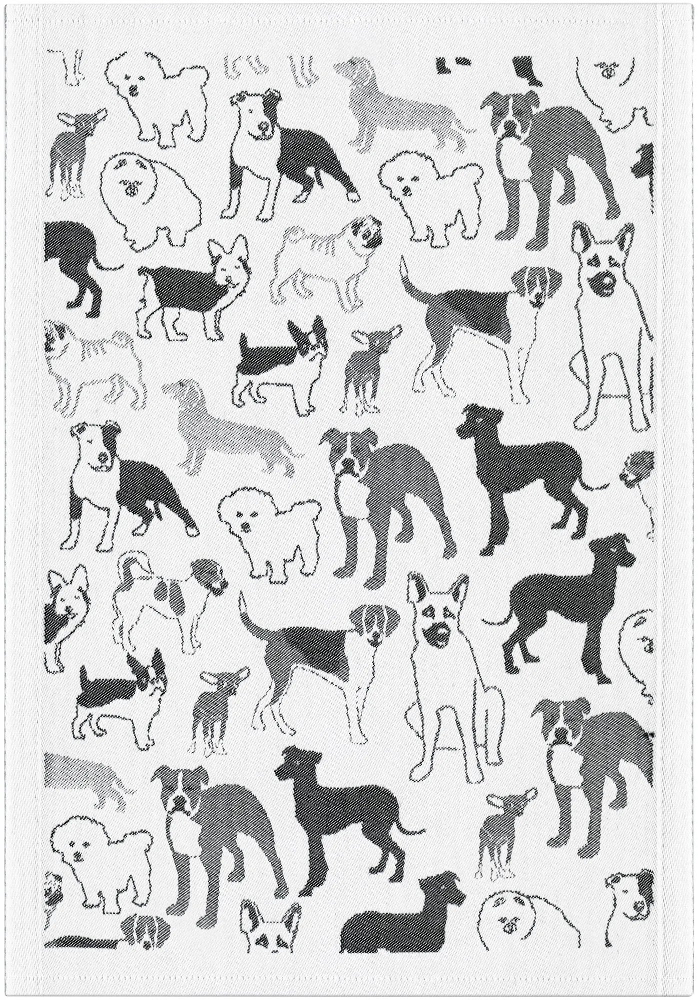 7767170901_HUSSE_35X50_2