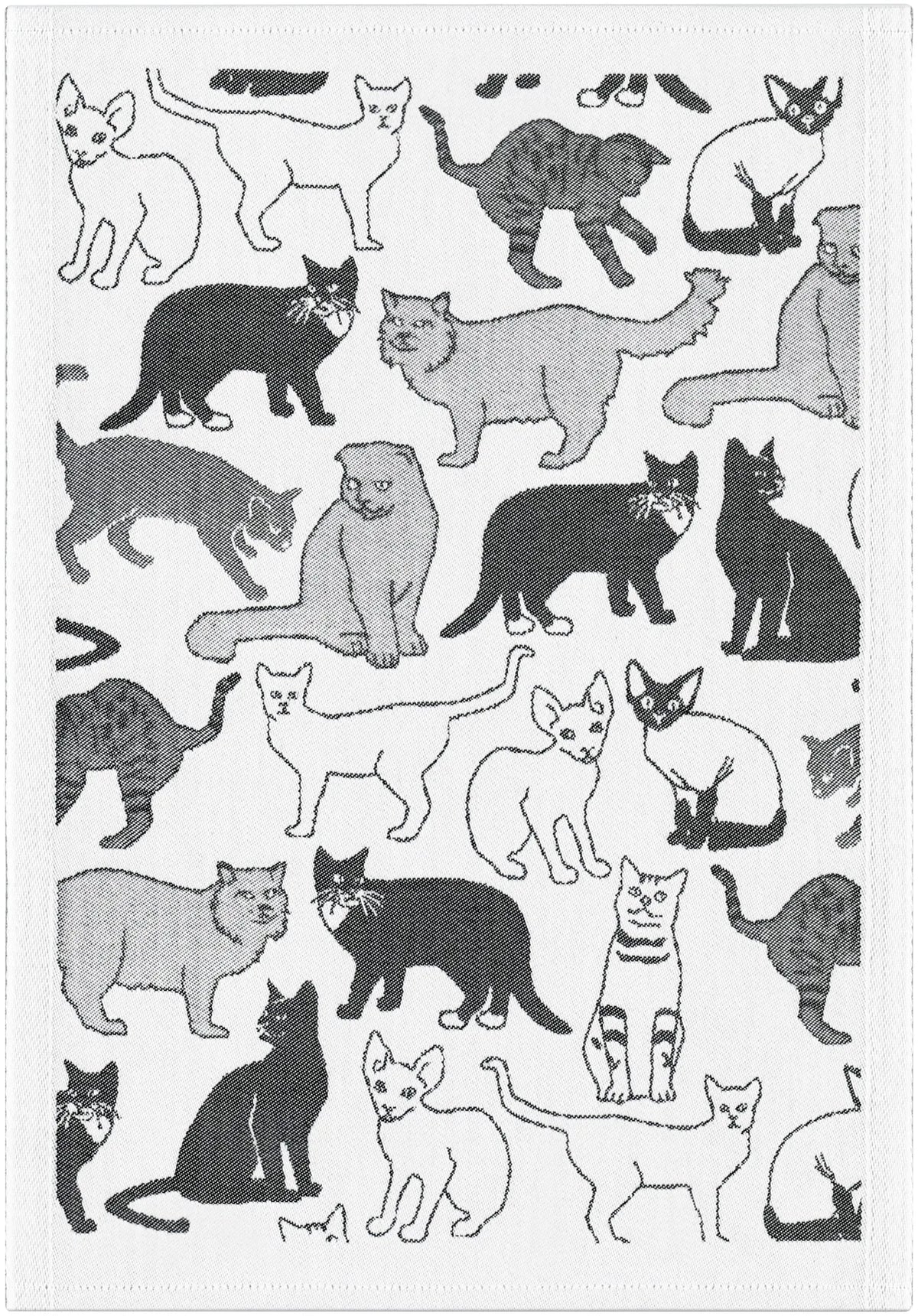 7767180901_MATTE_35X50_2