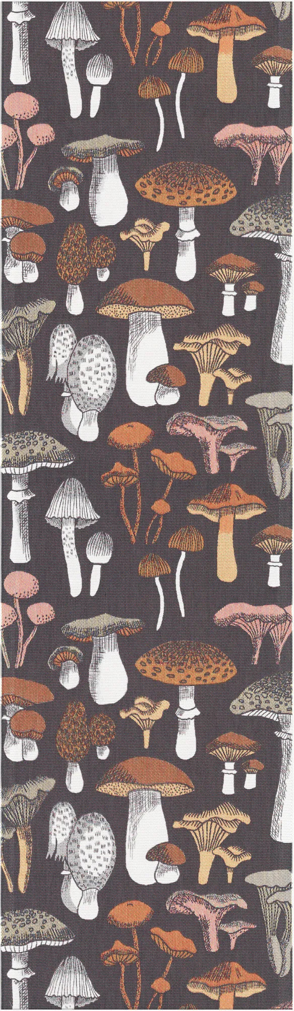 A0476_SVAMPRIK_35x120_2