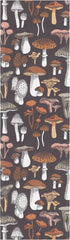 A0476_SVAMPRIK_35x120_2