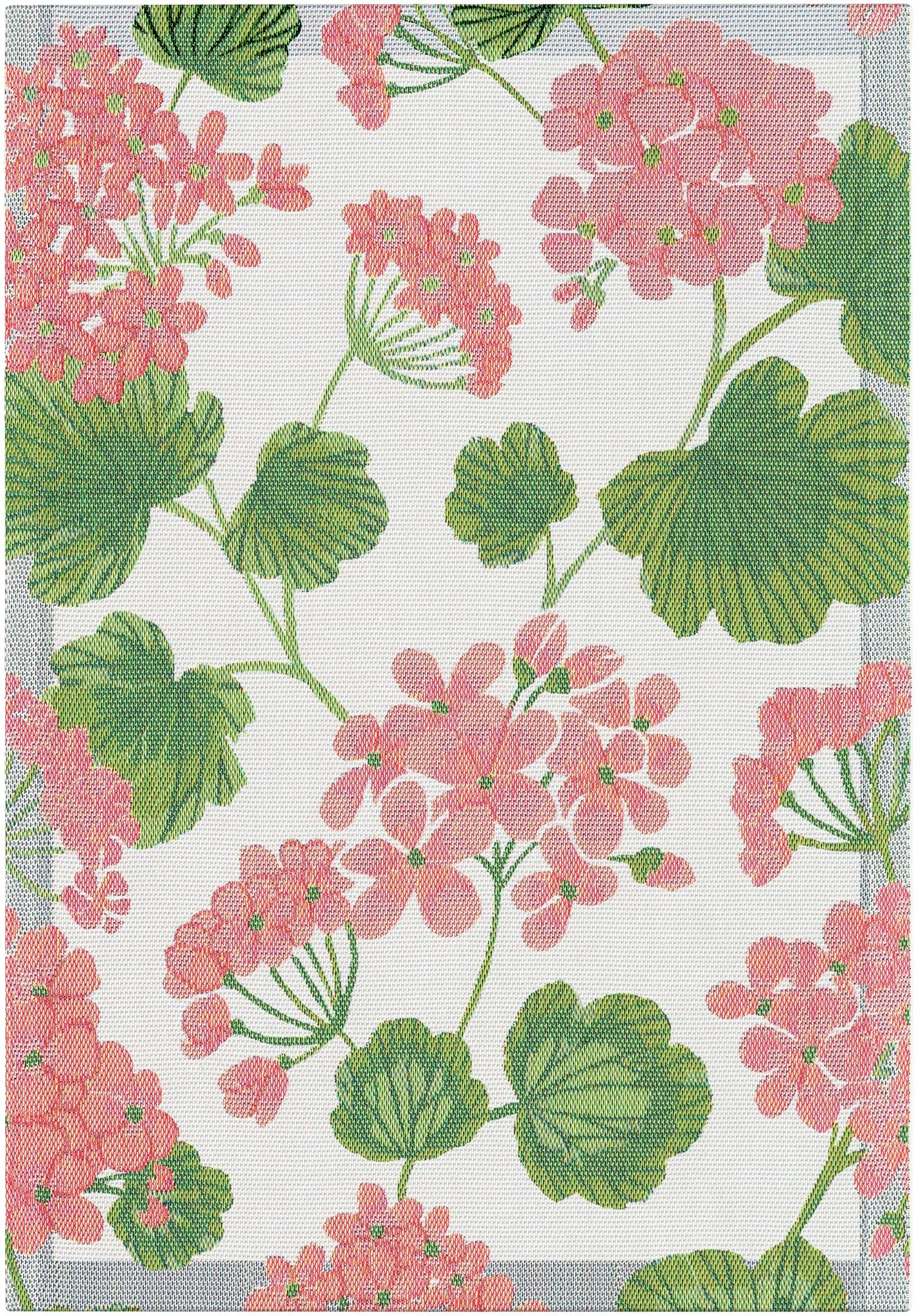 A1164_PELARGONIA_35X50_2