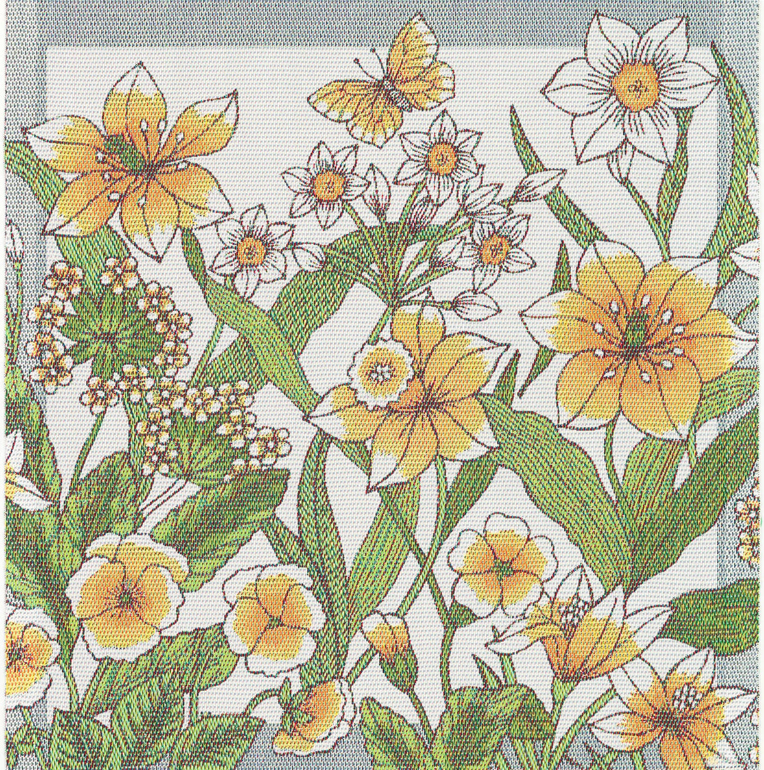 A1212_DAFFODIL_35x35_2