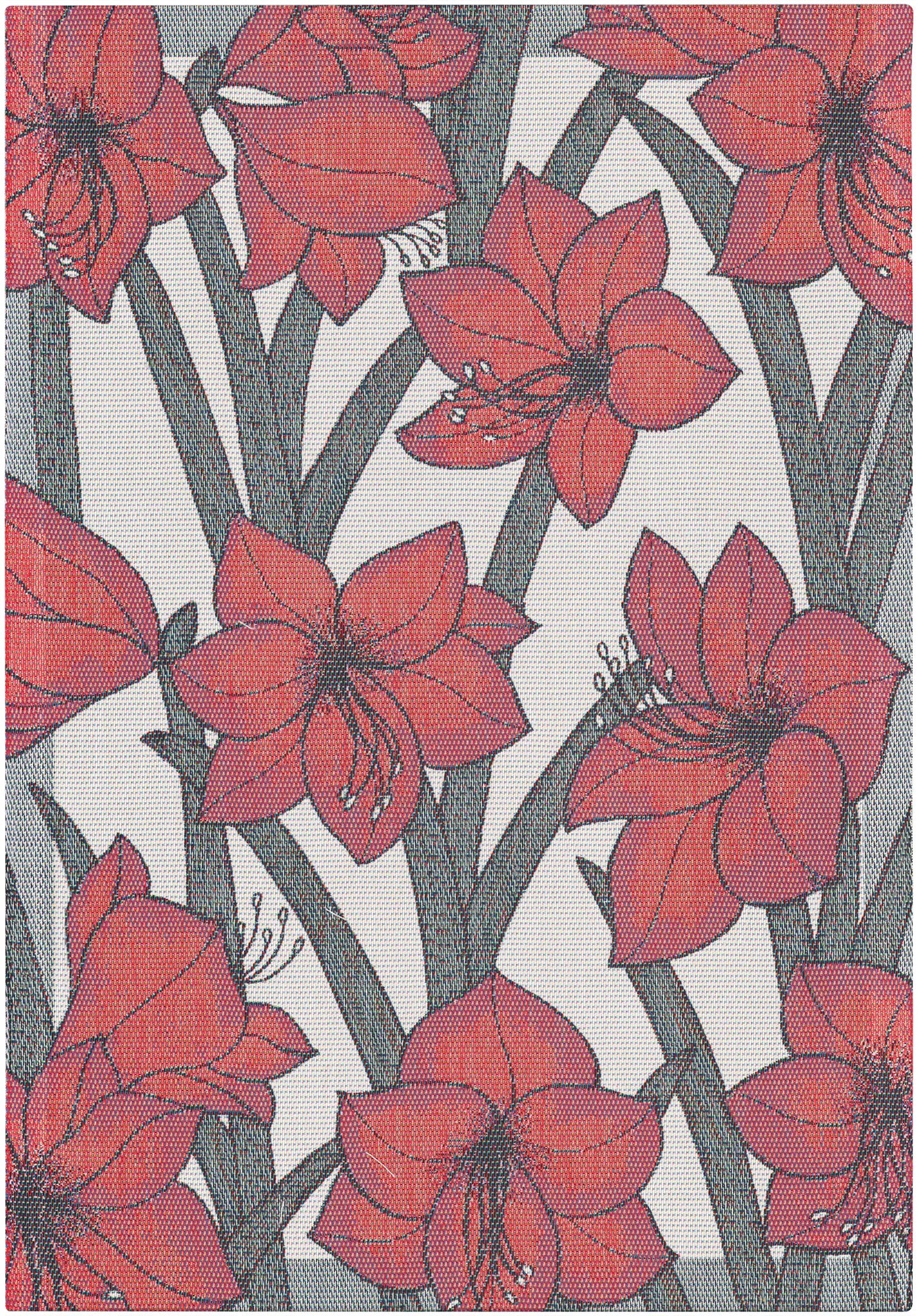 A1519_AMARYLLIS_35X50_2