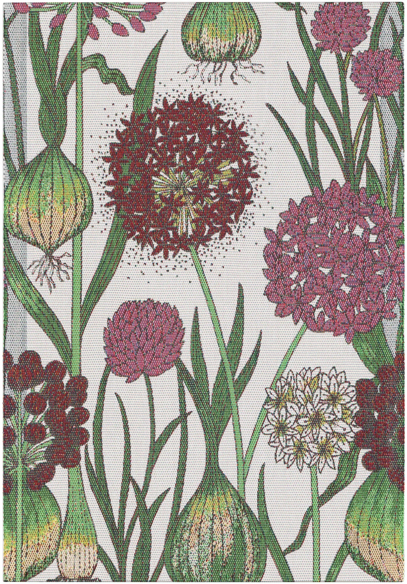 A1830_ALLIUM_35x50_2