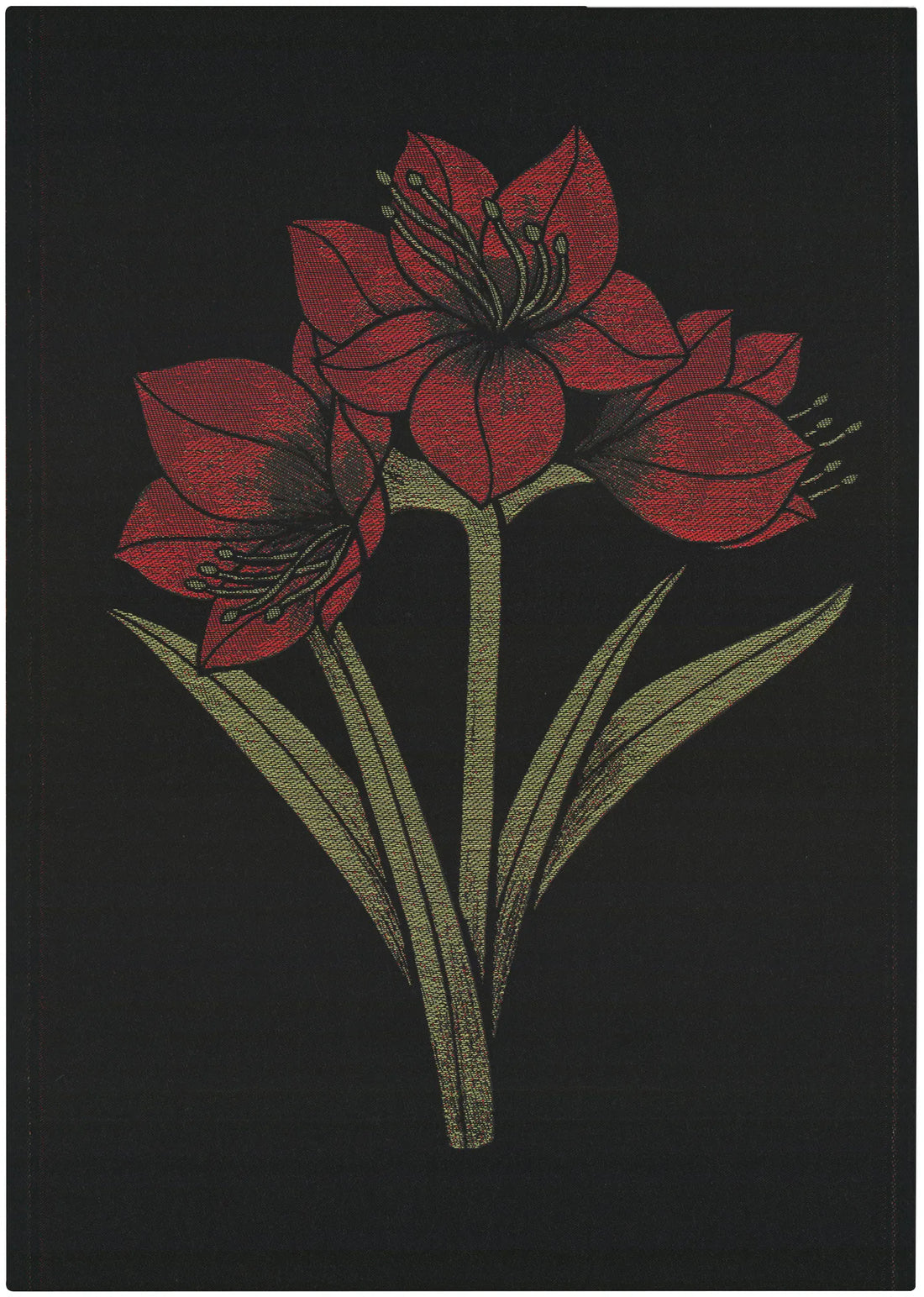 A1851_KAPAMARYLLIS_35x50_2