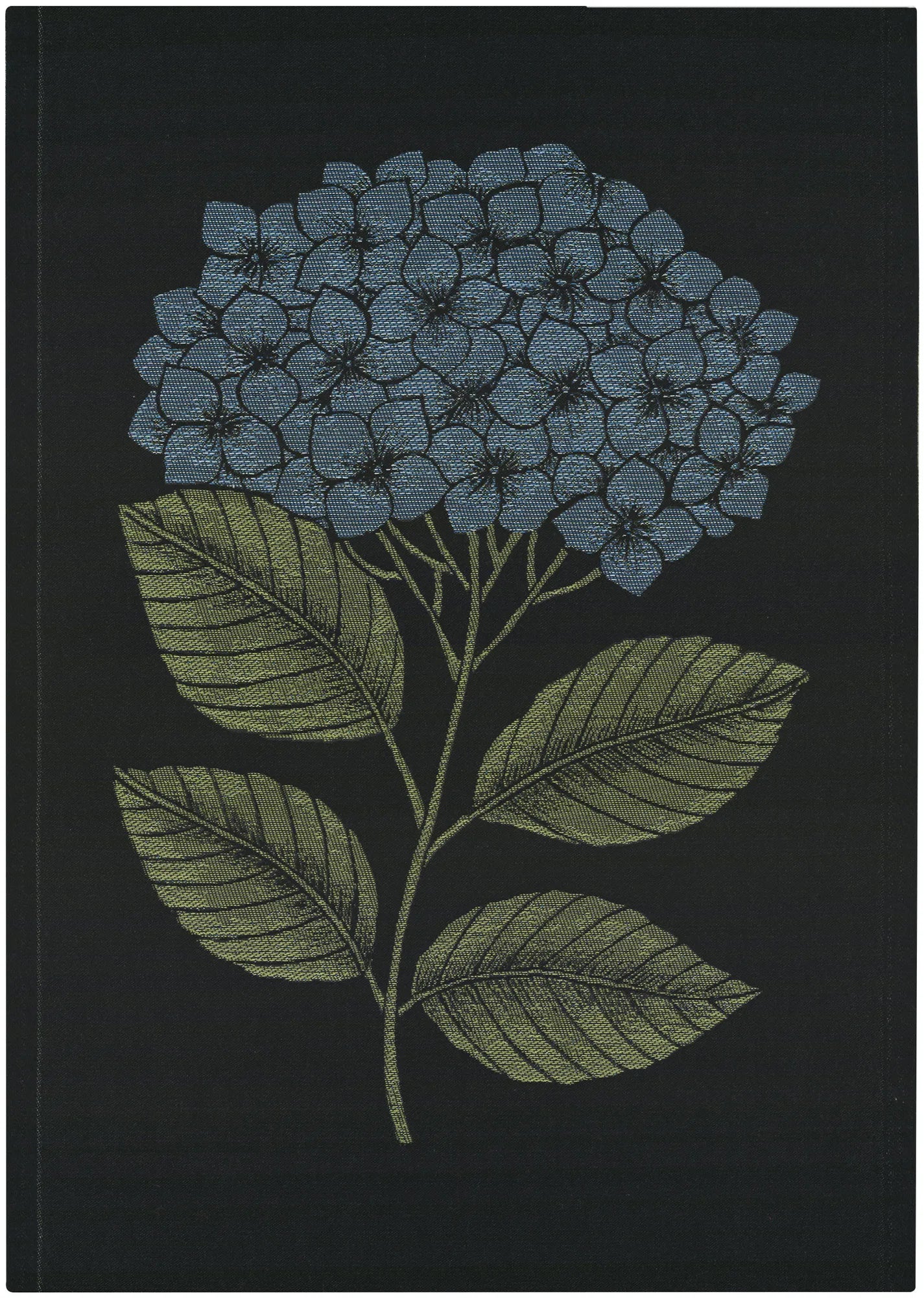 A1894_HYDRANGEA_35x50_2