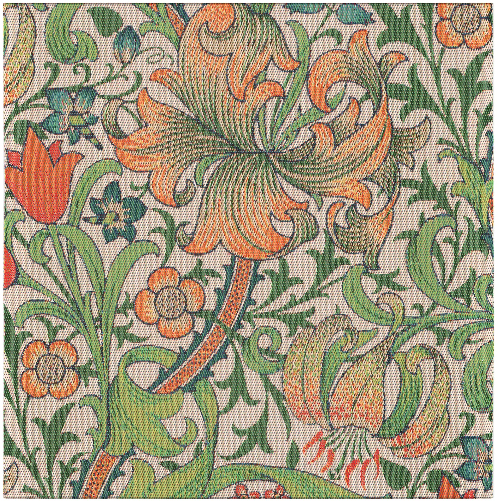A2088_GOLDEN-LILY_35x35_2