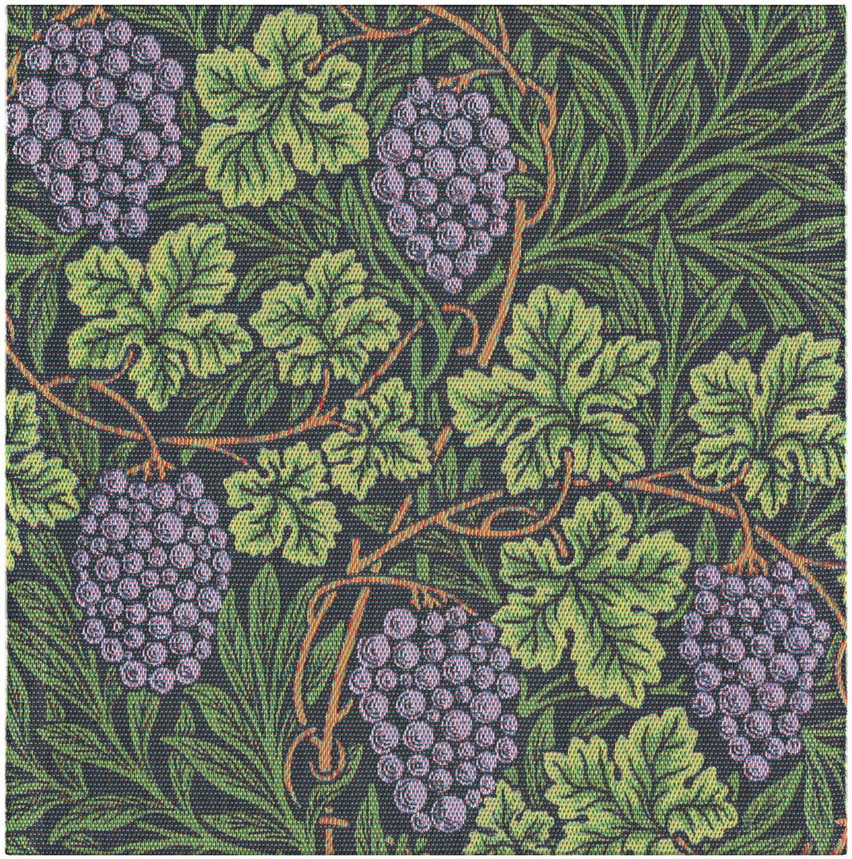 A2089_VINE_35x35_2