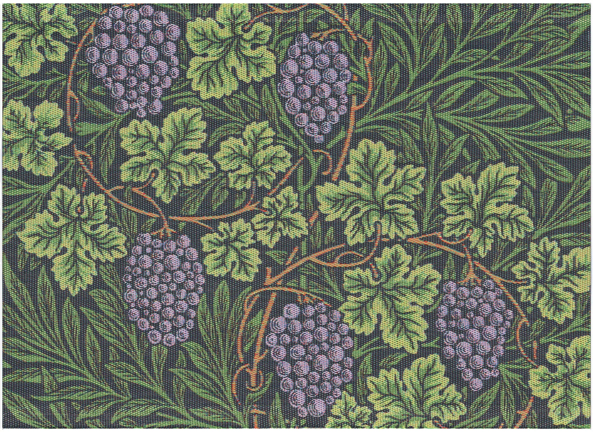 A2091_VINE_35x48_2