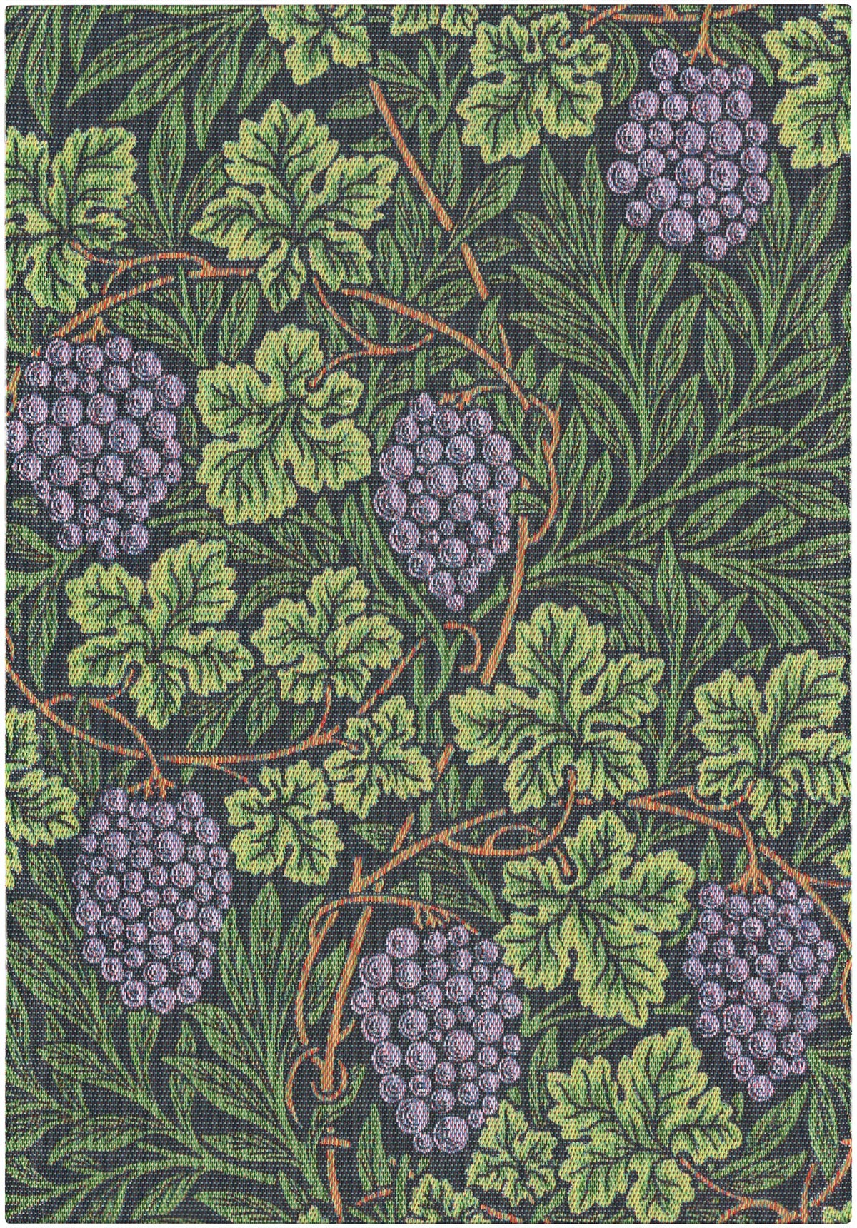 A2093_VINE_35x50_2