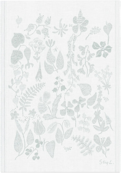 A2114_HERBARIUM_35x50_2