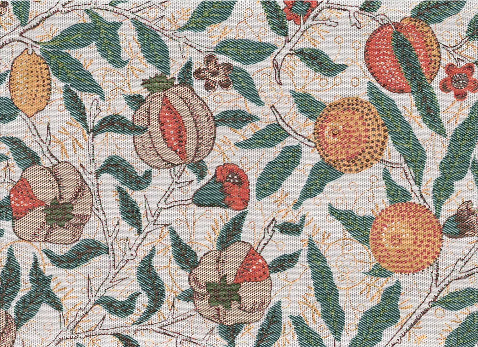 A2315_FRUIT_35x48_2