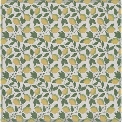 A2384_CITRONER_145x145_2