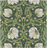 A2621_PIMPERNEL-540_35x35_2