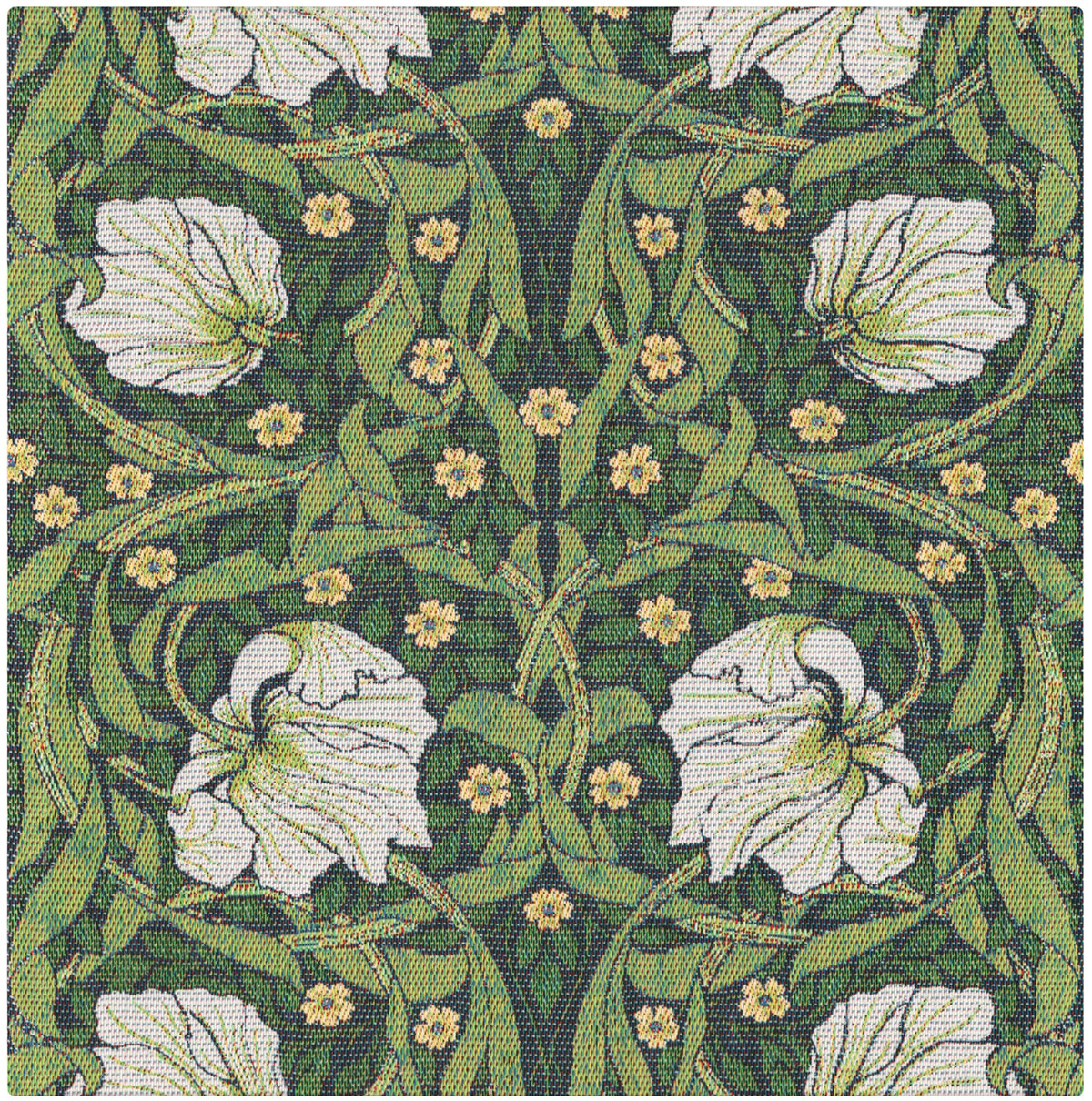 A2621_PIMPERNEL-540_35x35_2