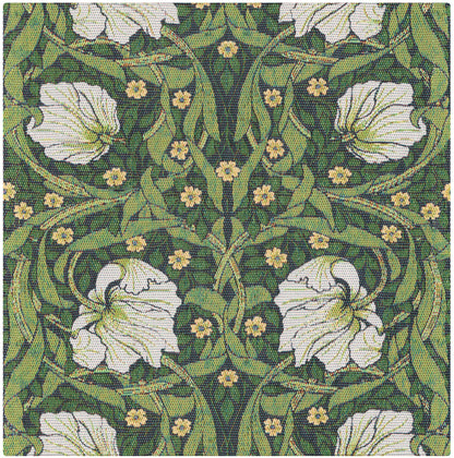 A2621_PIMPERNEL-540_35x35_2