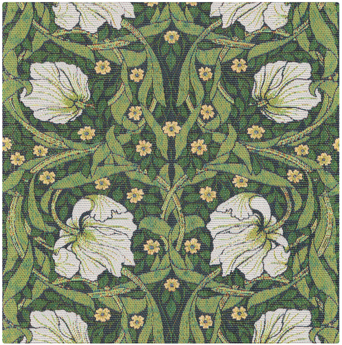 A2621_PIMPERNEL-540_35x35_2