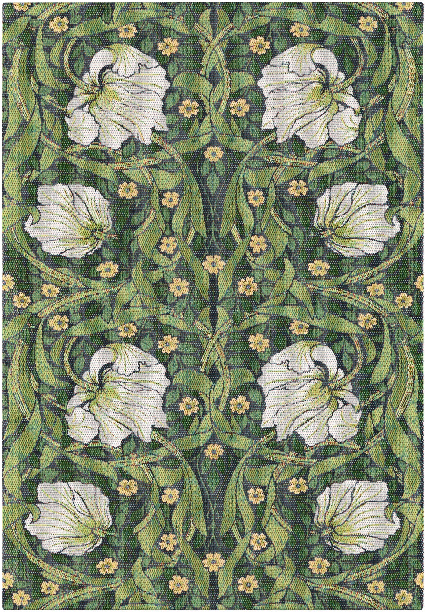 A2653_PIMPERNEL-540_35x50_2