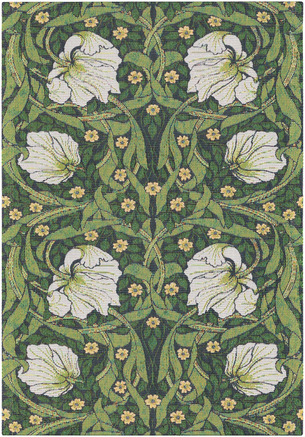 A2653_PIMPERNEL-540_35x50_2