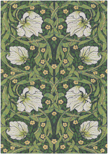 A2653_PIMPERNEL-540_35x50_2