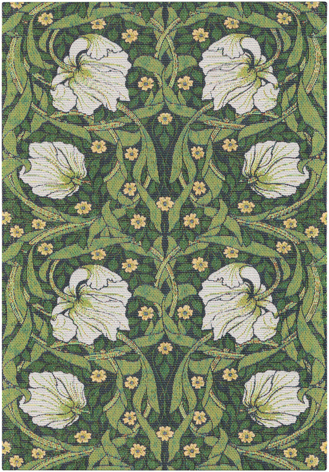 A2653_PIMPERNEL-540_35x50_2