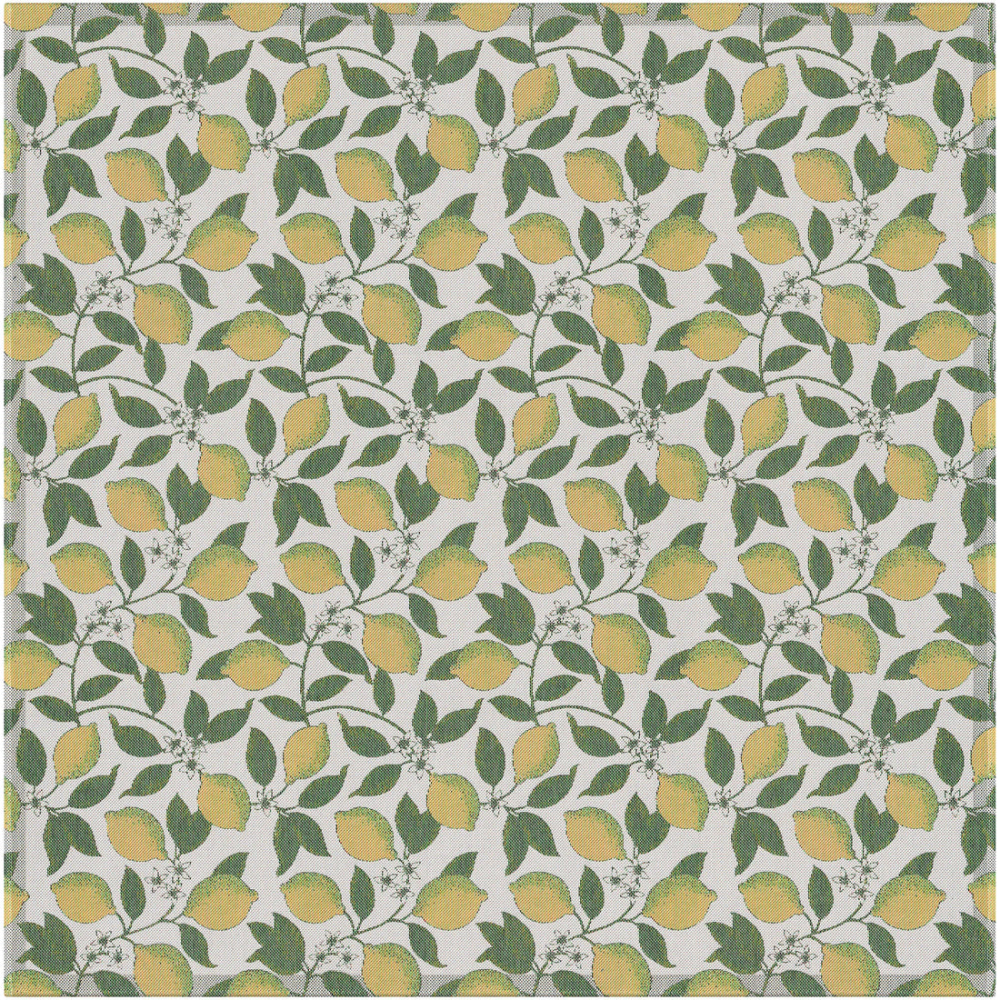 Citroner-145x145