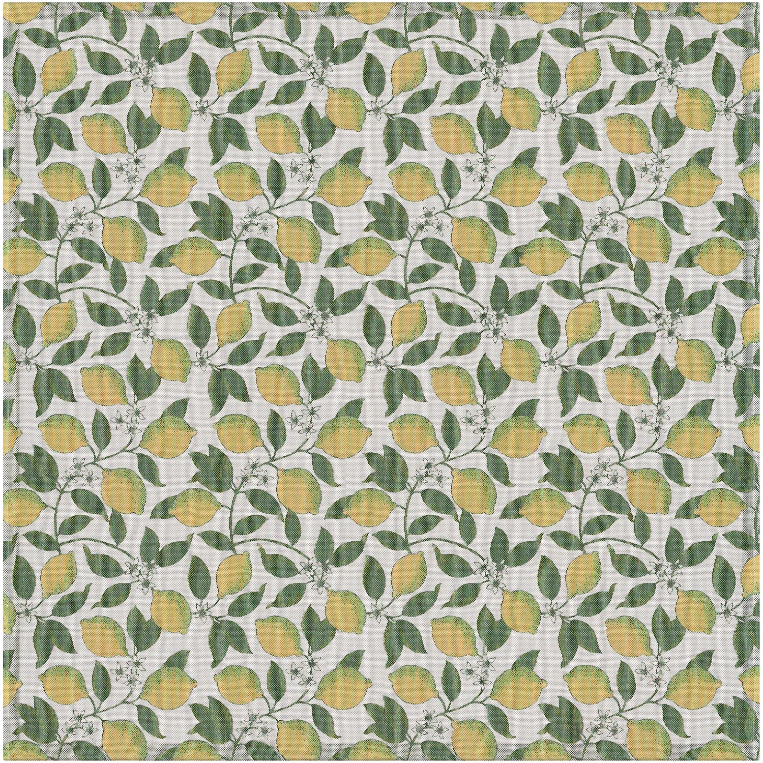 Citroner-145x145